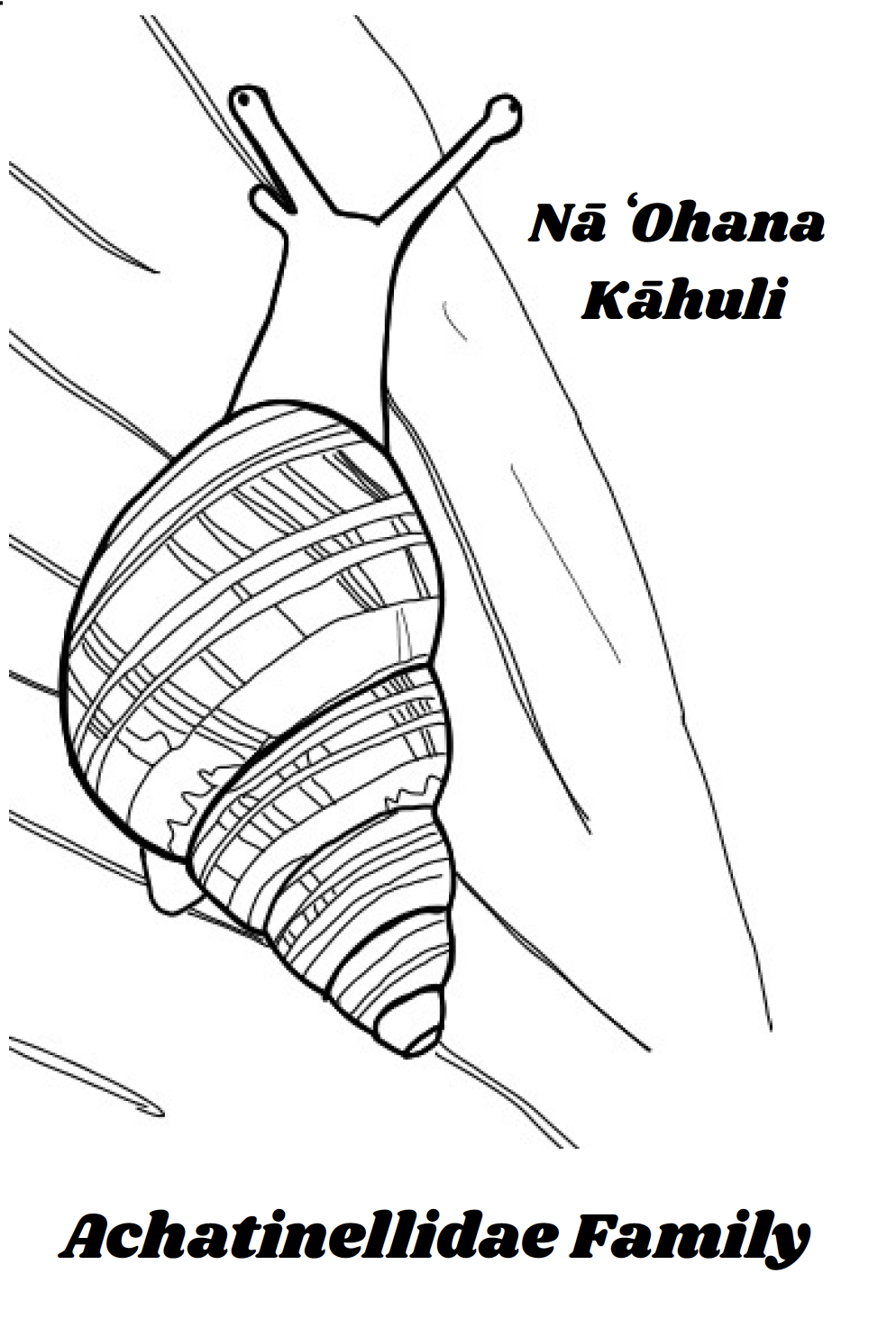 Mini Kāhuli Coloring Sheets